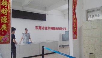 东莞市农村社区集体资产管理 太宝路第三厂区资产详情解析